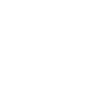 Brand Insight